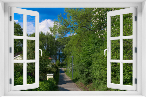 Fototapeta Naklejka Na Ścianę Okno 3D - Blühende Kastanienbäume