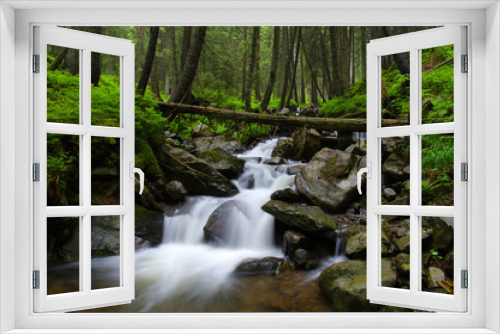 Fototapeta Naklejka Na Ścianę Okno 3D - Mountain river in forest.