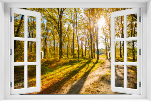 Fototapeta Naklejka Na Ścianę Okno 3D - Path Road Way Pathway On Sunny Day In Autumn Sunny Forest Trees,