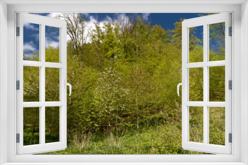 Fototapeta Naklejka Na Ścianę Okno 3D - Auf dem Altmühltal-Panoramaweg