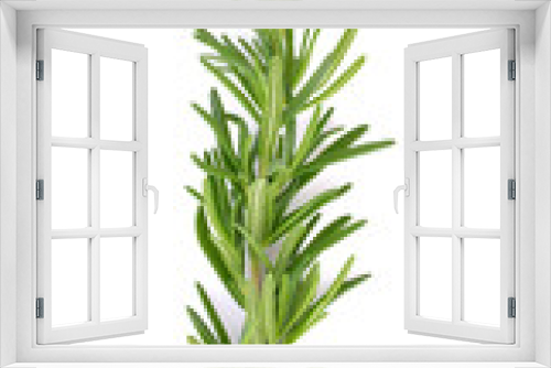 Fototapeta Naklejka Na Ścianę Okno 3D - rosemary isolated on white background