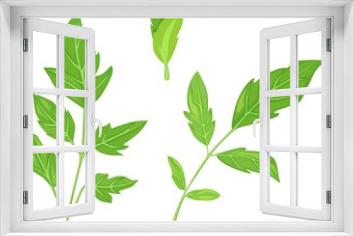 Fototapeta Naklejka Na Ścianę Okno 3D - green leaf set