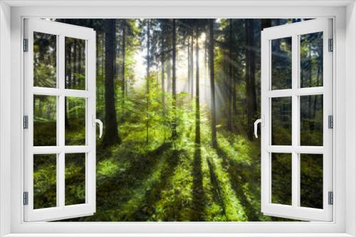 Fototapeta Naklejka Na Ścianę Okno 3D - Grüner Wald im Sommer mit Sonnenstrahlen