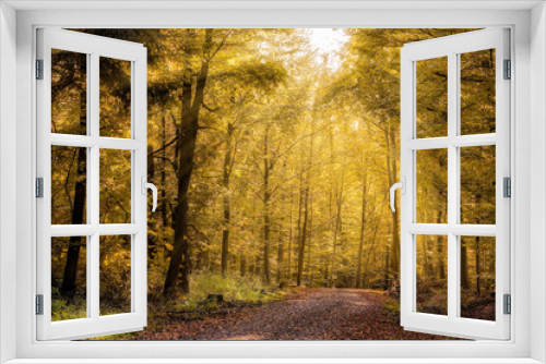 Fototapeta Naklejka Na Ścianę Okno 3D - Waldweg im Herbst mit Sonnenstrahlen