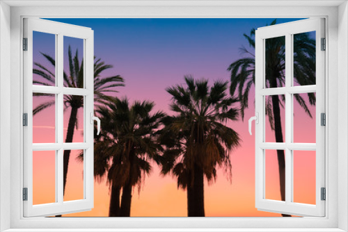 Fototapeta Naklejka Na Ścianę Okno 3D - Vintage tropic palm trees against sky at sunset light