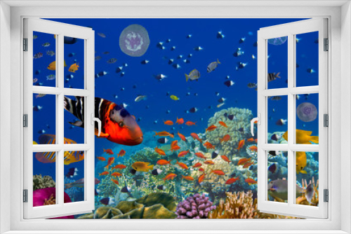 Fototapeta Naklejka Na Ścianę Okno 3D - Colorful reef underwater landscape with fishes and corals