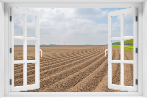 Fototapeta Naklejka Na Ścianę Okno 3D - Plowed field with furrows in spring