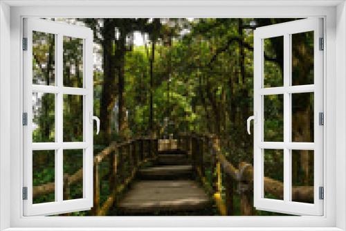 Fototapeta Naklejka Na Ścianę Okno 3D - Wooden bridge in tropical rain forest at Doi Inthanon