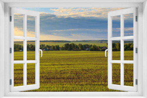 Fototapeta Naklejka Na Ścianę Okno 3D - Весенний пейзаж, поле со всходами пшеницы, вдалеке видны дома, лес и другие поля