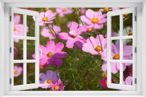 Fototapeta Naklejka Na Ścianę Okno 3D - nice flowers