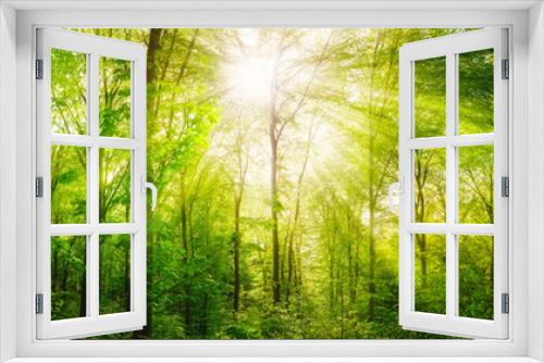 Fototapeta Naklejka Na Ścianę Okno 3D - Wald Panorama mit grünen Buchen und schönen Sonnenstrahlen