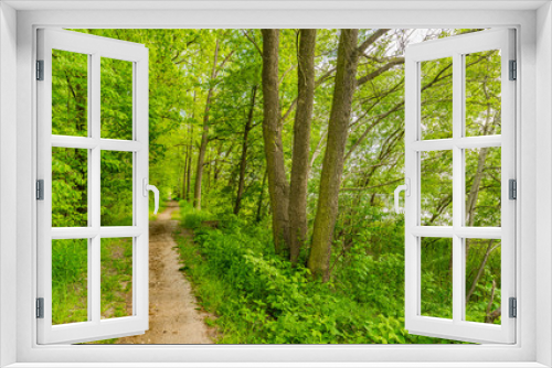Fototapeta Naklejka Na Ścianę Okno 3D - Wald Weg Natur Landschaft
