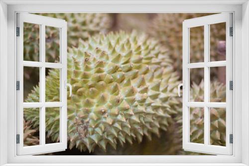 Fototapeta Naklejka Na Ścianę Okno 3D - durian