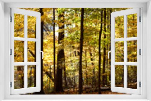 Fototapeta Naklejka Na Ścianę Okno 3D - image of autumn trees.