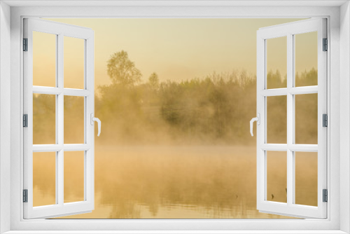Fototapeta Naklejka Na Ścianę Okno 3D - morning fog. around the lake grow birch .