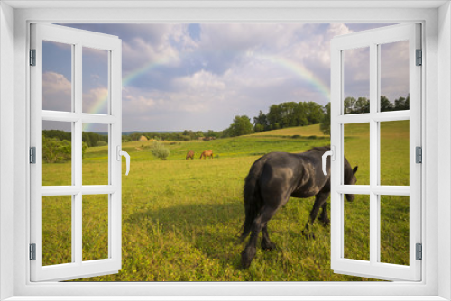 Fototapeta Naklejka Na Ścianę Okno 3D - Konie na pastwisku
