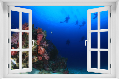 Fototapeta Naklejka Na Ścianę Okno 3D - Scuba divers swim over coral reef