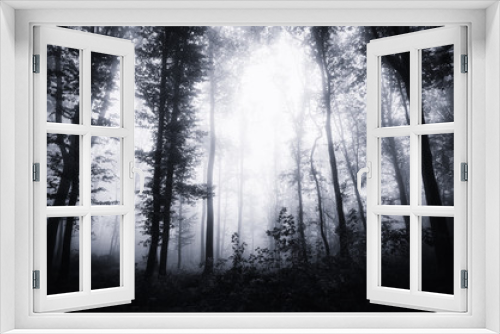 Fototapeta Naklejka Na Ścianę Okno 3D - dark mysterious halloween forest landscape