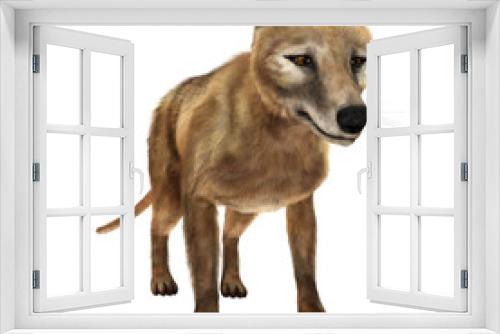 Fototapeta Naklejka Na Ścianę Okno 3D - 3D Rendering Thylacine on White