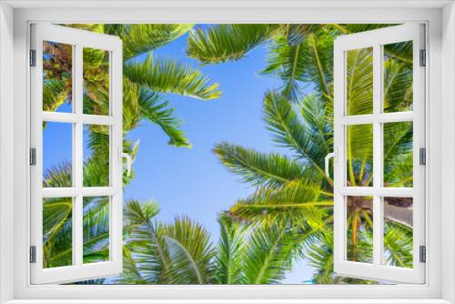 Fototapeta Naklejka Na Ścianę Okno 3D - Blue sky and palm trees view from below