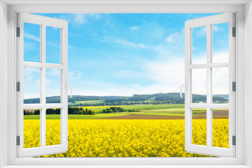 Fototapeta Naklejka Na Ścianę Okno 3D - yellow canola field panorama