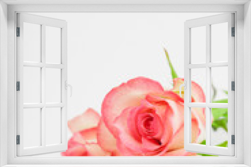 Fototapeta Naklejka Na Ścianę Okno 3D - Rosen, kleiner Blumenstrauß, 3 Rosen, Love, Studio