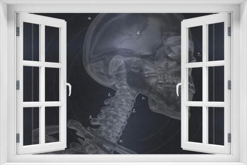 Fototapeta Naklejka Na Ścianę Okno 3D - Human anatomy, torso back muscles. 3d illustration.