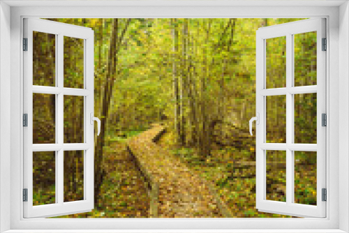 Fototapeta Naklejka Na Ścianę Okno 3D - Wooden boarding path way pathway in autumn forest
