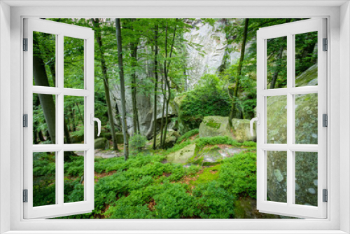 Fototapeta Naklejka Na Ścianę Okno 3D - Deep moss forest