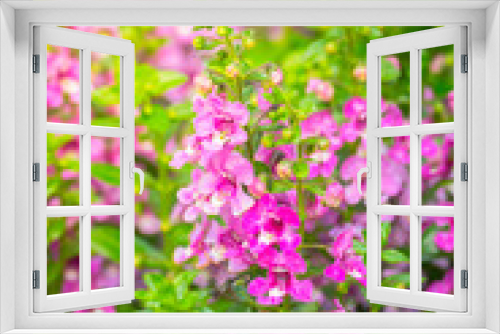 Fototapeta Naklejka Na Ścianę Okno 3D - The background image of the colorful flowers