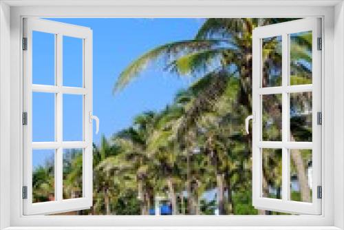 Fototapeta Naklejka Na Ścianę Okno 3D -  coconut palm trees and blue sky
