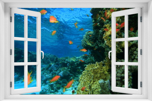 Fototapeta Naklejka Na Ścianę Okno 3D - Coral Lagoon