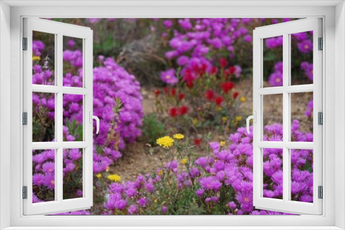 Fototapeta Naklejka Na Ścianę Okno 3D - Bunte Blumenrabatte pink-rot-gelb