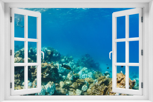 Fototapeta Naklejka Na Ścianę Okno 3D - vacation on island in sea
