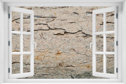 Fototapeta Naklejka Na Ścianę Okno 3D - Tree bark texture for background