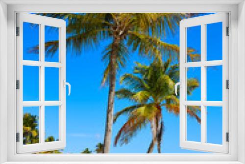 Fototapeta Naklejka Na Ścianę Okno 3D - Key west florida Smathers beach palm trees US