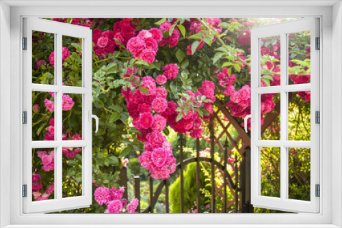 Fototapeta Naklejka Na Ścianę Okno 3D - rose