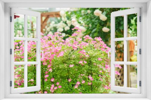 Fototapeta Naklejka Na Ścianę Okno 3D - ピンクのバラ