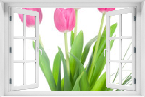 Fototapeta Naklejka Na Ścianę Okno 3D - five pink tulips bouquet