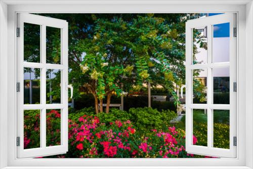 Fototapeta Naklejka Na Ścianę Okno 3D - Flowers and tree at Freedom Park, in Rosslyn, Arlington, Virgini