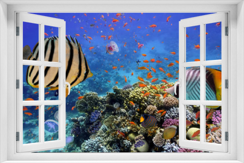 Fototapeta Naklejka Na Ścianę Okno 3D - Coral reef with fire coral and exotic fishes at the bottom of co