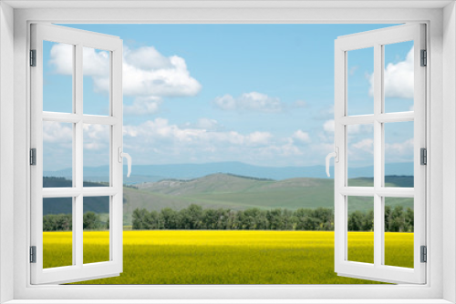 Fototapeta Naklejka Na Ścianę Okno 3D - Beautiful cultivated yellow field. Hilly landscape