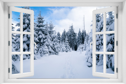 Fototapeta Naklejka Na Ścianę Okno 3D - Im Winter durch den Harz wandern, verschneite Landschaft
