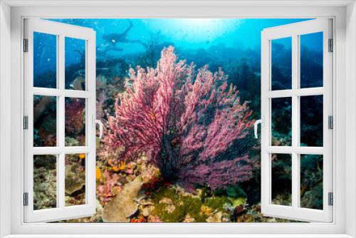Fototapeta Naklejka Na Ścianę Okno 3D - Coral reef