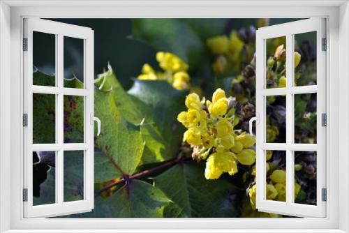 Fototapeta Naklejka Na Ścianę Okno 3D - boccioli gialli