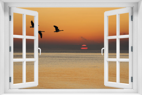 Fototapeta Naklejka Na Ścianę Okno 3D - Geese at Sunrise