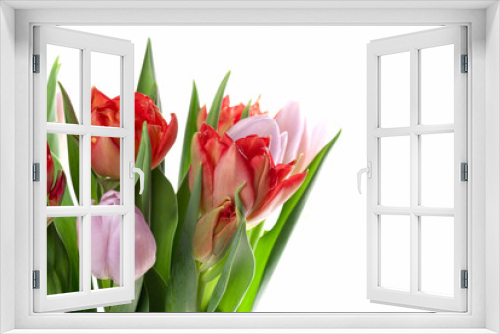 Fototapeta Naklejka Na Ścianę Okno 3D - Tulips