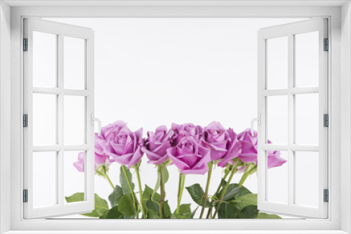 Fototapeta Naklejka Na Ścianę Okno 3D - Beautiful roses 