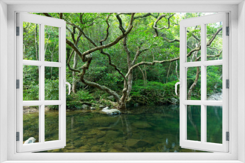 Fototapeta Naklejka Na Ścianę Okno 3D - Forest and lake