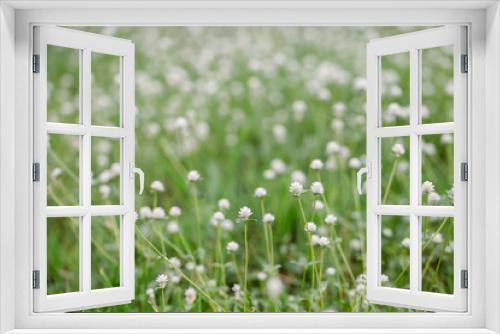 Fototapeta Naklejka Na Ścianę Okno 3D - flower grass